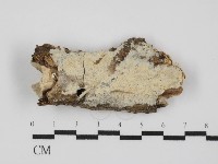 登錄號:F0031437藏品圖，第1張