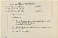 登錄號:F0031437藏品圖，第3張