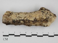 登錄號:F0031439藏品圖，第1張