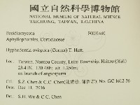 登錄號:F0031440藏品圖，第2張