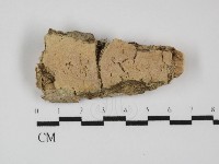登錄號:F0031440藏品圖，第1張