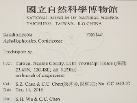 登錄號:F0031441藏品圖，第2張