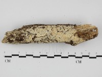 登錄號:F0031441藏品圖，第1張