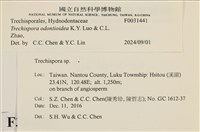 登錄號:F0031441藏品圖，第3張