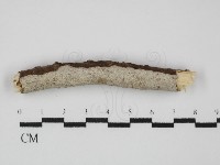登錄號:F0031443藏品圖，第3張