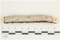 登錄號:F0031443藏品圖，第1張