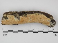 登錄號:F0031444藏品圖，第1張