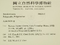 登錄號:F0031445藏品圖，第2張