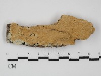 登錄號:F0031445藏品圖，第1張
