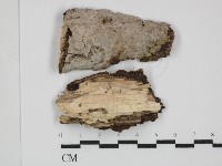 登錄號:F0031446藏品圖，第1張