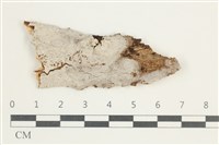 登錄號:F0031452藏品圖，第1張