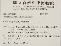 登錄號:F0031455藏品圖，第2張