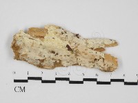 登錄號:F0031455藏品圖，第1張