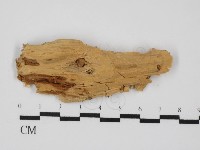 登錄號:F0031455藏品圖，第3張