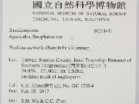 登錄號:F0031456藏品圖，第2張