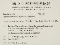 登錄號:F0031458藏品圖，第2張