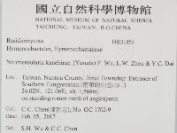 登錄號:F0031459藏品圖，第2張