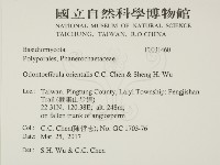 登錄號:F0031460藏品圖，第2張