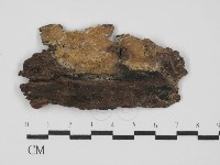 登錄號:F0031460藏品圖，第1張
