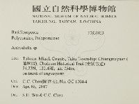 登錄號:F0031463藏品圖，第2張