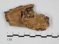 登錄號:F0031463藏品圖，第3張