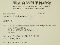 登錄號:F0031467藏品圖，第2張