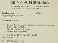 登錄號:F0031468藏品圖，第2張