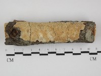 登錄號:F0031468藏品圖，第1張
