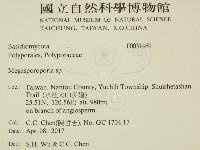 登錄號:F0031469藏品圖，第2張