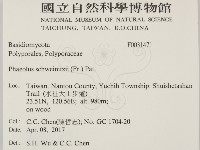 登錄號:F0031471藏品圖，第2張