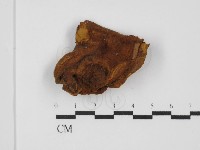 登錄號:F0031471藏品圖，第3張