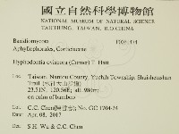 登錄號:F0031474藏品圖，第2張