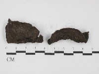 登錄號:F0031477藏品圖，第1張