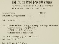 登錄號:F0031478藏品圖，第2張