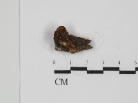 登錄號:F0031478藏品圖，第1張