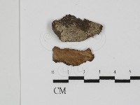 登錄號:F0031480藏品圖，第1張