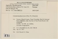 登錄號:F0031480藏品圖，第3張