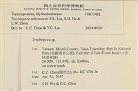 登錄號:F0031482藏品圖，第3張
