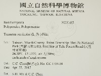 雲芝藏品圖，第2張