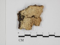 登錄號:F0031487藏品圖，第1張