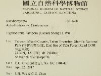 登錄號:F0031488藏品圖，第2張