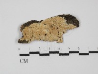 登錄號:F0031488藏品圖，第1張