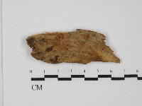 登錄號:F0031489藏品圖，第1張