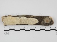 登錄號:F0031490藏品圖，第1張