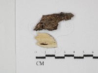 登錄號:F0031491藏品圖，第1張