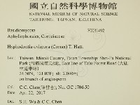 登錄號:F0031492藏品圖，第2張