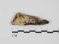 登錄號:F0031494藏品圖，第1張