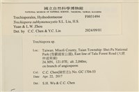 登錄號:F0031494藏品圖，第3張