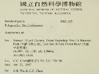 容氏菌屬藏品圖，第2張