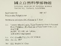 登錄號:F0031497藏品圖，第2張